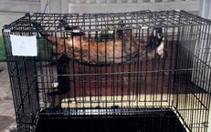 Khởi tạo Ủy ban Tần số vô tuyến điện dưới sự lãnh đạo của Bộ trưởng Khoa học và Công nghệ