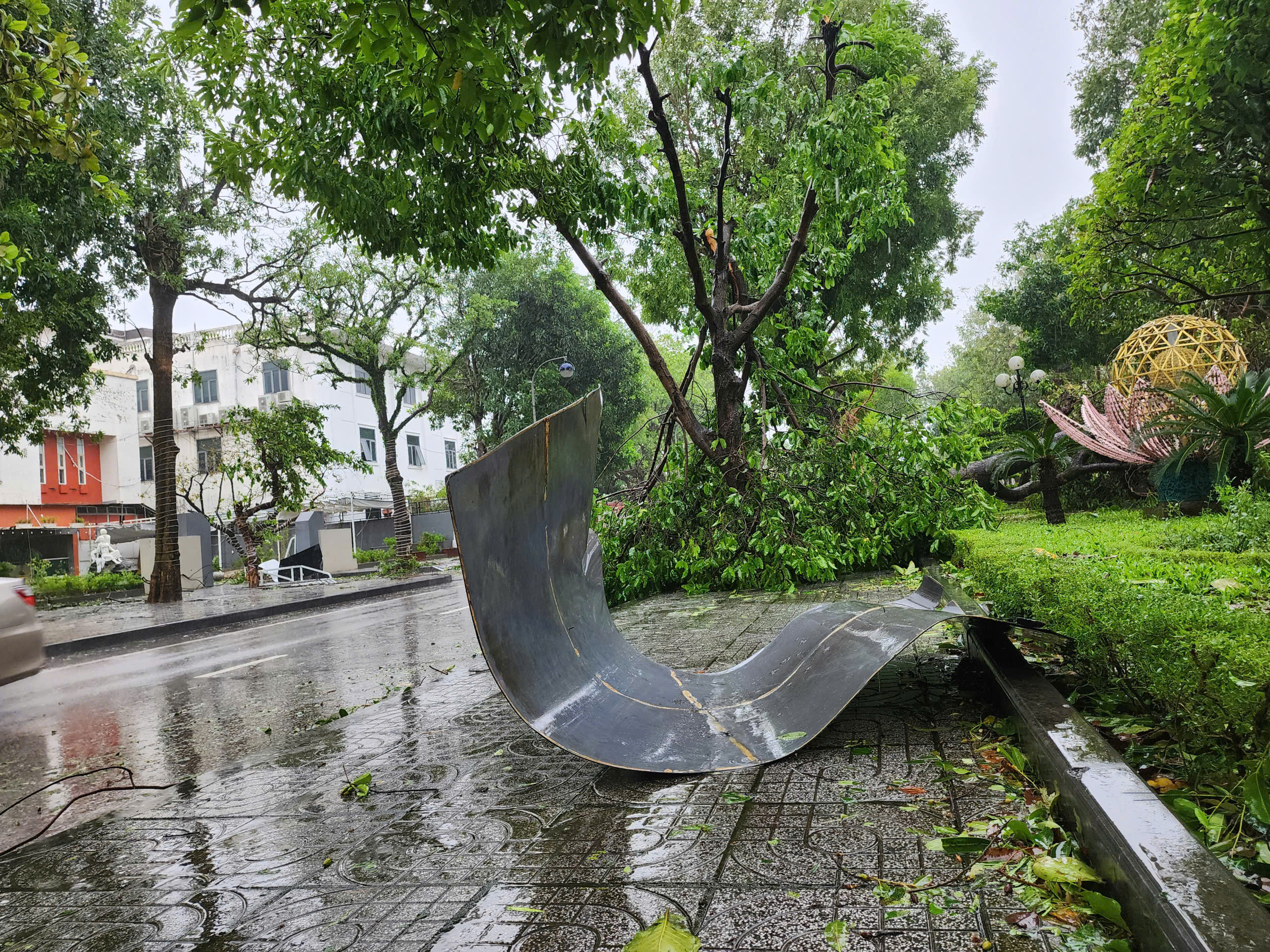Cơn bão số 2 - Ảnh 1.