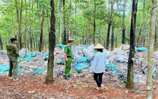 Khám Phá Những Điểm Đến Tuyệt Vời Tại Thanh Hóa Trong Kỳ Nghỉ 2/9