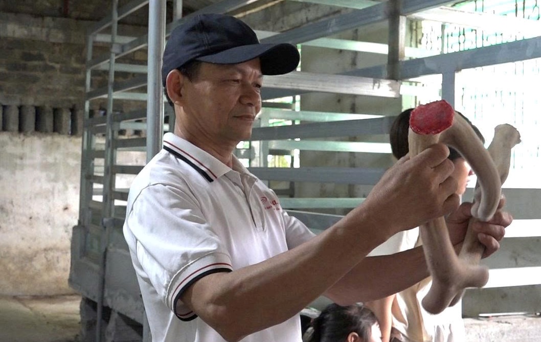 Hành Trình Khởi Nghiệp Từ Đam Mê Nuôi Hươu Của Kỹ Sư Trẻ