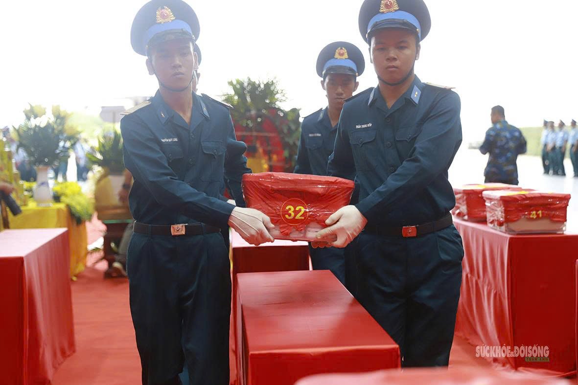 Mẫu hài cốt được sắp xếp