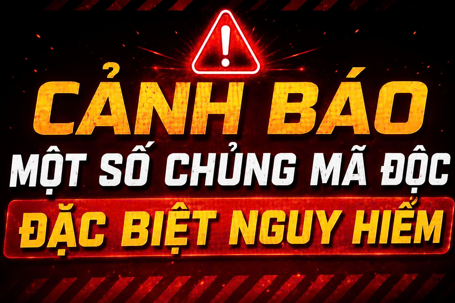 Cảnh báo mã độc tống tiền - Ảnh 1.