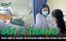Cảnh Báo Về Nguy Cơ Viêm Gan Do Lạm Dụng Paracetamol Khi Cảm Cúm