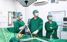 Hà Tĩnh Đối Phó Với Dịch Sốt Xuất Huyết: Những Biện Pháp Cần Thiết