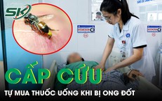 Những Giây Phút Sinh Tử Ngàn Cân: Cuộc Chiến Cứu Thuyền Viên Giữa Biển Cả