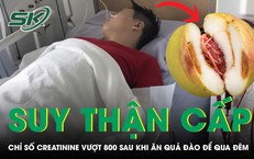 Thảm Kịch Do Ong Vò Vẽ: Nguyên Nhân và Hệ Lụy