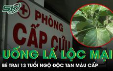 Tầm Quan Trọng Của Việc Tầm Soát Bệnh Tim Mạch Ngay Từ Sớm