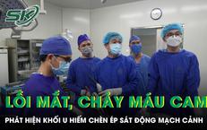 Người Đàn Ông Gặp Nạn Với Ong Vò Vẽ: Hành Trình Thoát Chết Kỳ Diệu