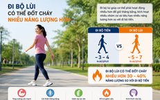 Khám Phá Rễ Cỏ Xước: Lợi Ích, Cách Dùng và Lưu Ý Quan Trọng