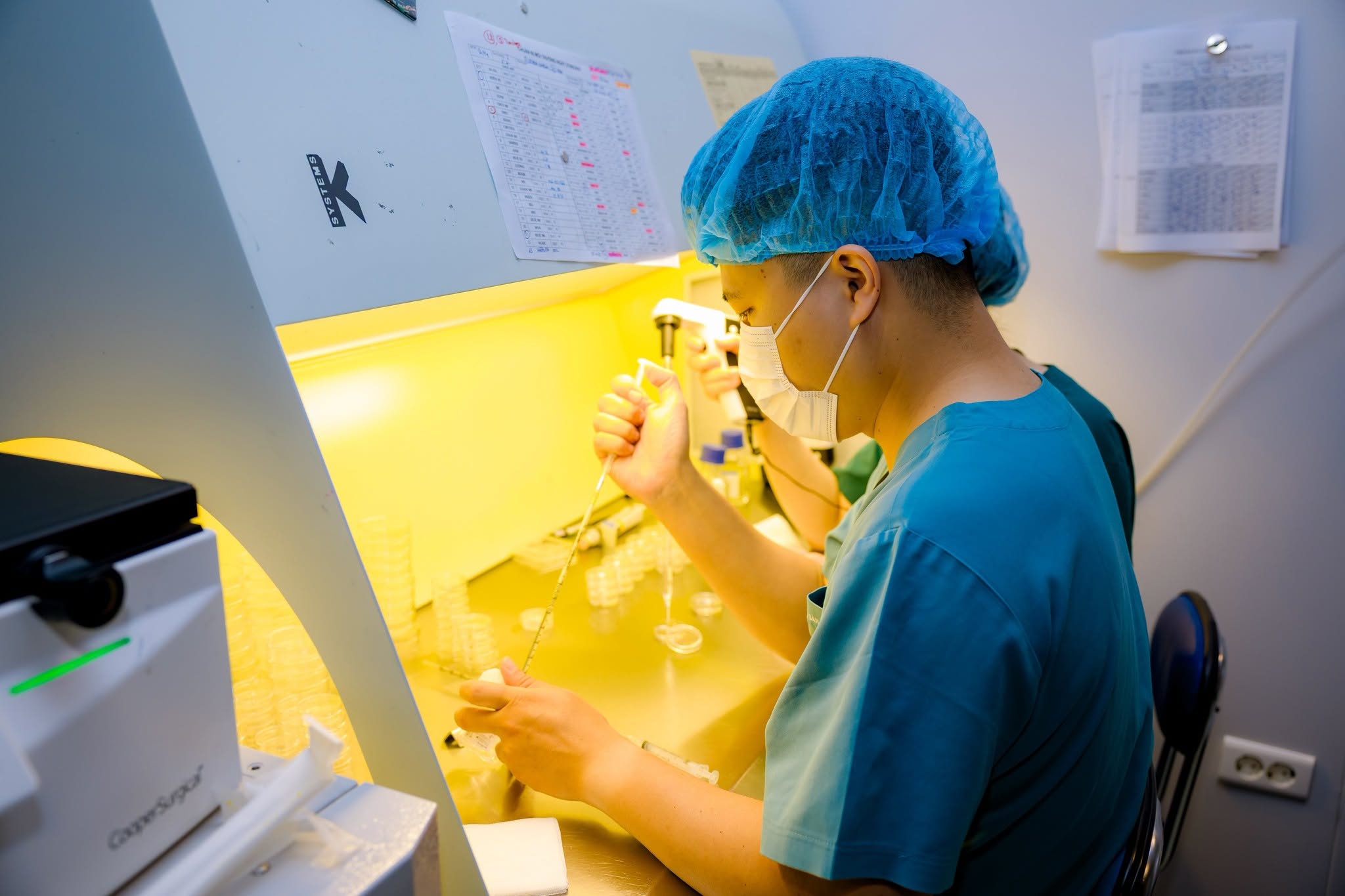757880991254999436878332218487-17856003398201420004184 Có nên sàng lọc di truyền trước khi mang thai? - Ảnh 2.