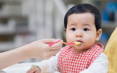 Những Lưu Ý Quan Trọng Khi Tiêu Thụ Mướp Đắng