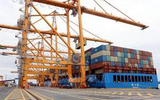 Sự Thật Đằng Sau Trào Lưu Ăn Nhiều Đạm: Một Nghiên Cứu Mới Đem Đến Những Cảnh Báo