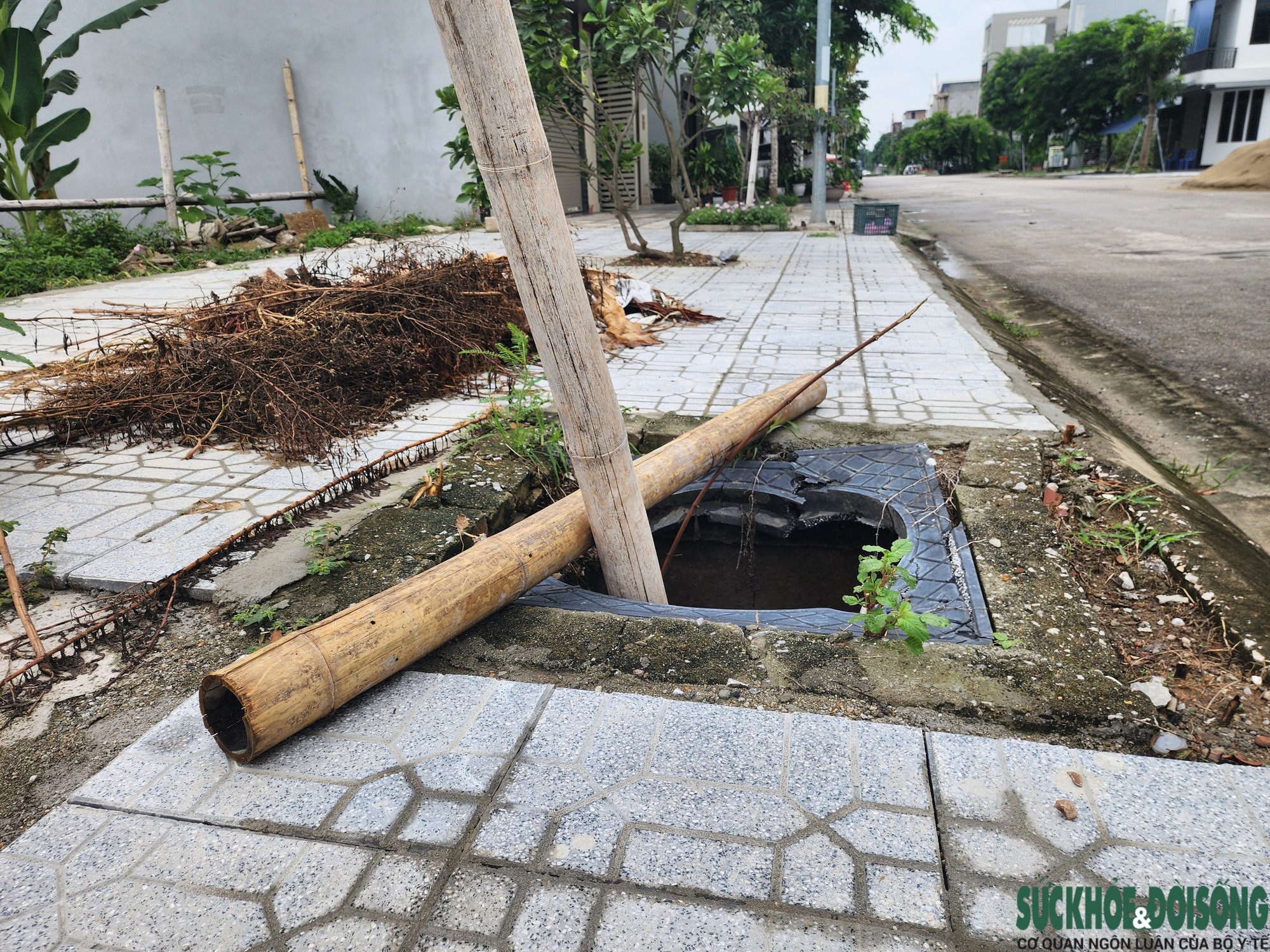 Cảnh báo tạm thời
