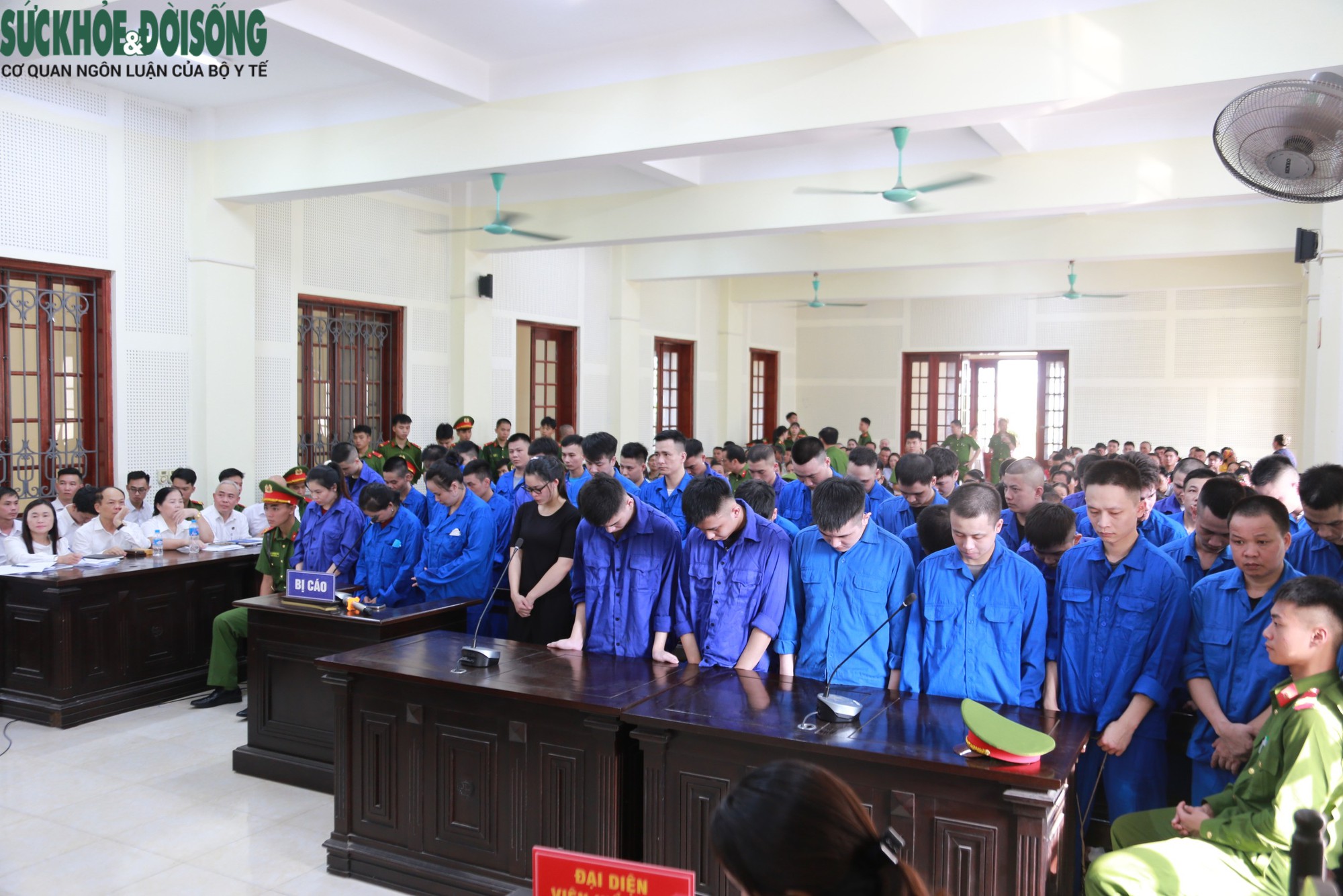 Phiên Tòa Xét Xử Đường Dây Lừa Đảo Hơn 71 Tỷ Đồng: 48 Bị Cáo Nhận Án