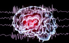 Nhịn Ăn Sáng: Ảnh Hưởng Đến Gan và Những Lưu Ý Quan Trọng