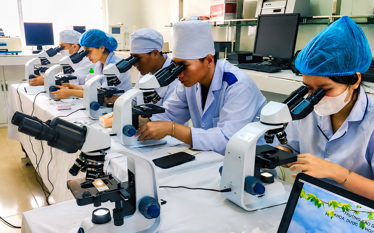 Sắp xếp hệ thống y tế