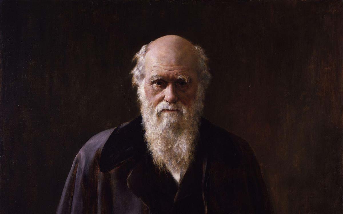Charles Darwin và dự đoán về cây ăn thịt được xác minh sau 150 năm - Ảnh 1.