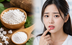 Sự Chuyển Mình Của Học Viện Y – Dược Học Cổ Truyền Việt Nam: Thay Đổi Lãnh Đạo và Định Hướng Mới