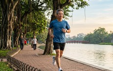 Thực Phẩm Chống Lão Hóa Da Hiệu Quả Cho Người Trên 50 Tuổi