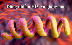 Giải Pháp An Toàn Để Tăng Cường Sinh Lý Nam Giới Hiệu Quả