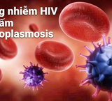 Virus HPV: Nguy Cơ Gây Ung Thư Qua Đường Tình Dục
