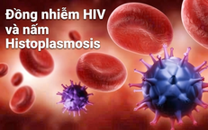 Virus HPV: Nguy Cơ Gây Ung Thư Qua Đường Tình Dục