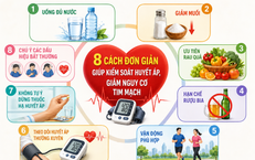 Khám Phá 4 Món Ăn Dồi Dào Kali Hỗ Trợ Tim Mạch và Thần Kinh