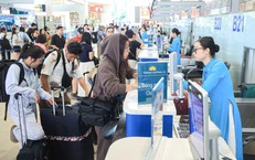 Khôi Phục Hệ Sinh Thái Đầm Lập An: Toàn Cảnh Hành Động Tại ‘Tuyệt Tình Cốc’ Xứ Huế