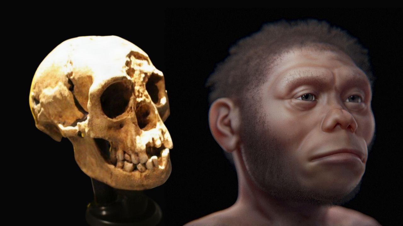 hobbits-walked-like-humans-1-17880717596042129637287 Khám Phá Chủng Người Lùn Cổ - Ảnh 1.