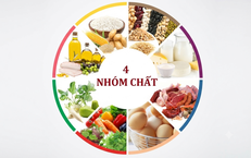Khám Phá Những Thực Phẩm Giàu Magie Để Bảo Vệ Tim Mạch