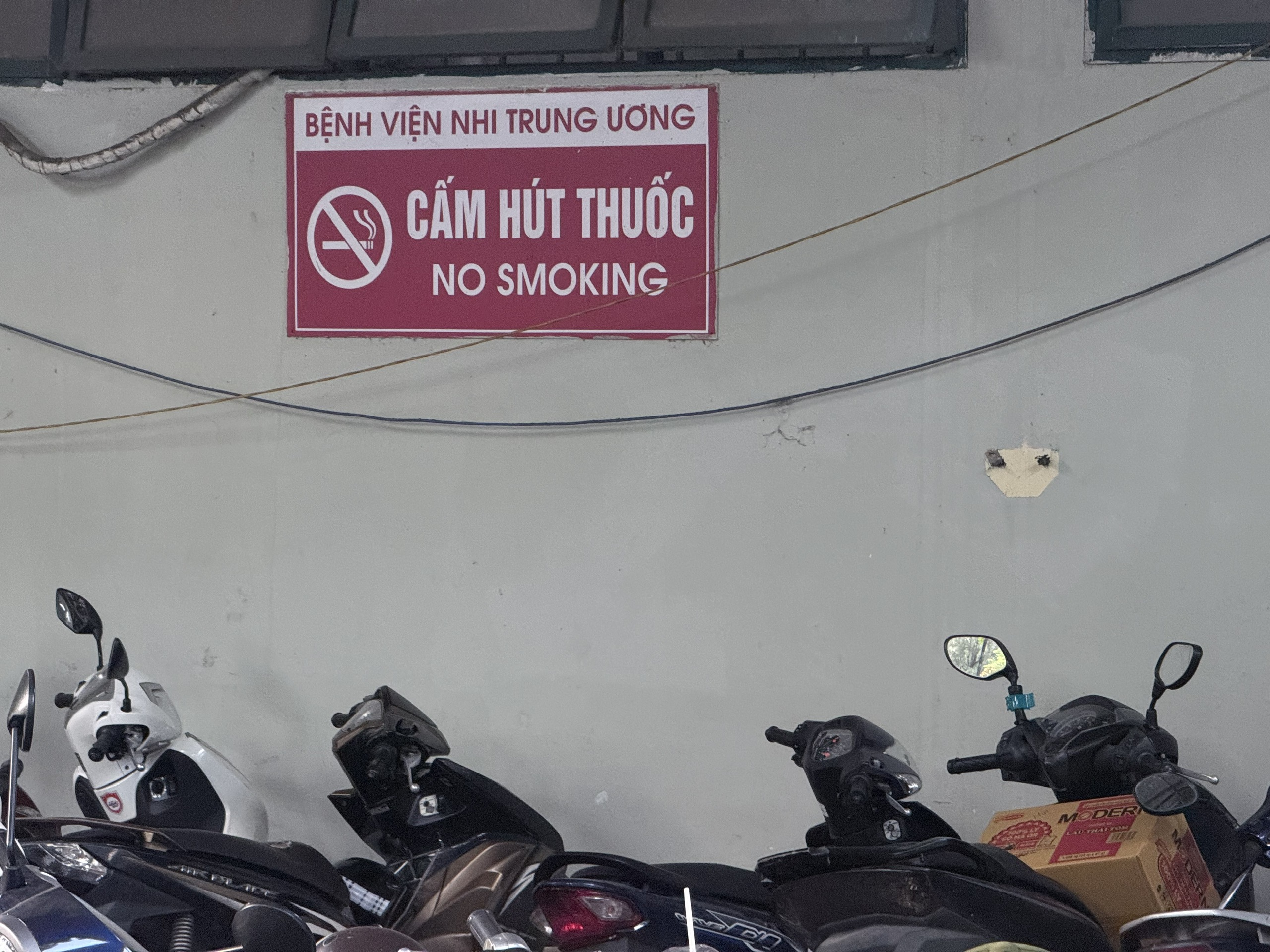 Chống Lại Cơn Bão Thuốc Lá: Thực Trạng và Giải Pháp Cần Thiết