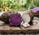 Tại Sao Hệ Tiêu Hóa Quan Trọng Đối Với Sự Phát Triển Toàn Diện Của Trẻ Em