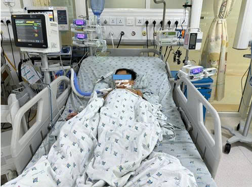 Cảnh Báo Nguy Hiểm Từ Ngộ Độc Thực Phẩm: Ba Trẻ Em Nhập Viện Vì Thịt Chuột