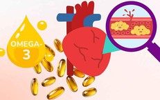 Đẩy Mạnh Phát Triển Y Học Bào Thai Tại Việt Nam Qua Hợp Tác Quốc Tế