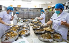Bảo Hiểm Y Tế: Vai Trò Của Quỹ Trong Việc Chăm Sóc Sức Khỏe Cộng Đồng