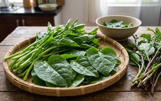 Giải Pháp Đông Y Cho Tình Trạng Chán Ăn Ở Người Cao Tuổi