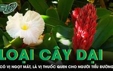 7 Thói Quen Hàng Ngày Để Tăng Cường Tuổi Thọ Của Bạn