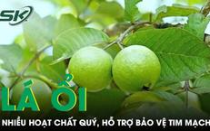 Lĩnh Hội Kiến Thức Về Xuất Huyết Tiêu Hóa Ở Trẻ Em: Hành Trình Cảnh Báo Từ Một Ca Bệnh