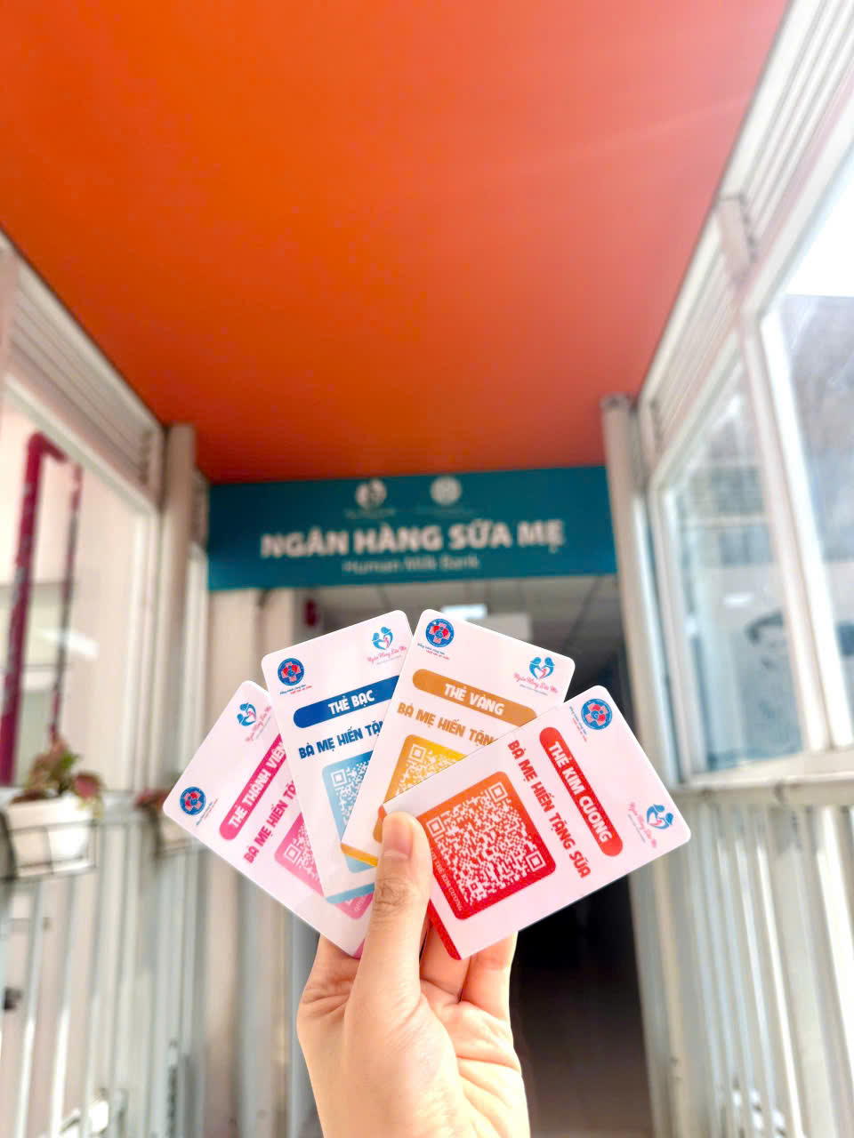 Những Thông Tin Sai Lệch Về Sữa Mẹ: Đừng Tin Gì Từ Mạng Xã Hội
