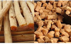 Chuyển Biến Trong Ngành Hồi Sức Cấp Cứu: Từ Kỹ Thuật Đến Chăm Sóc Cá Nhân Hoá