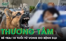 Cảnh Báo Sức Khỏe: Ba Trẻ Em Nhập Viện Do Viêm Ruột Thừa Vỡ