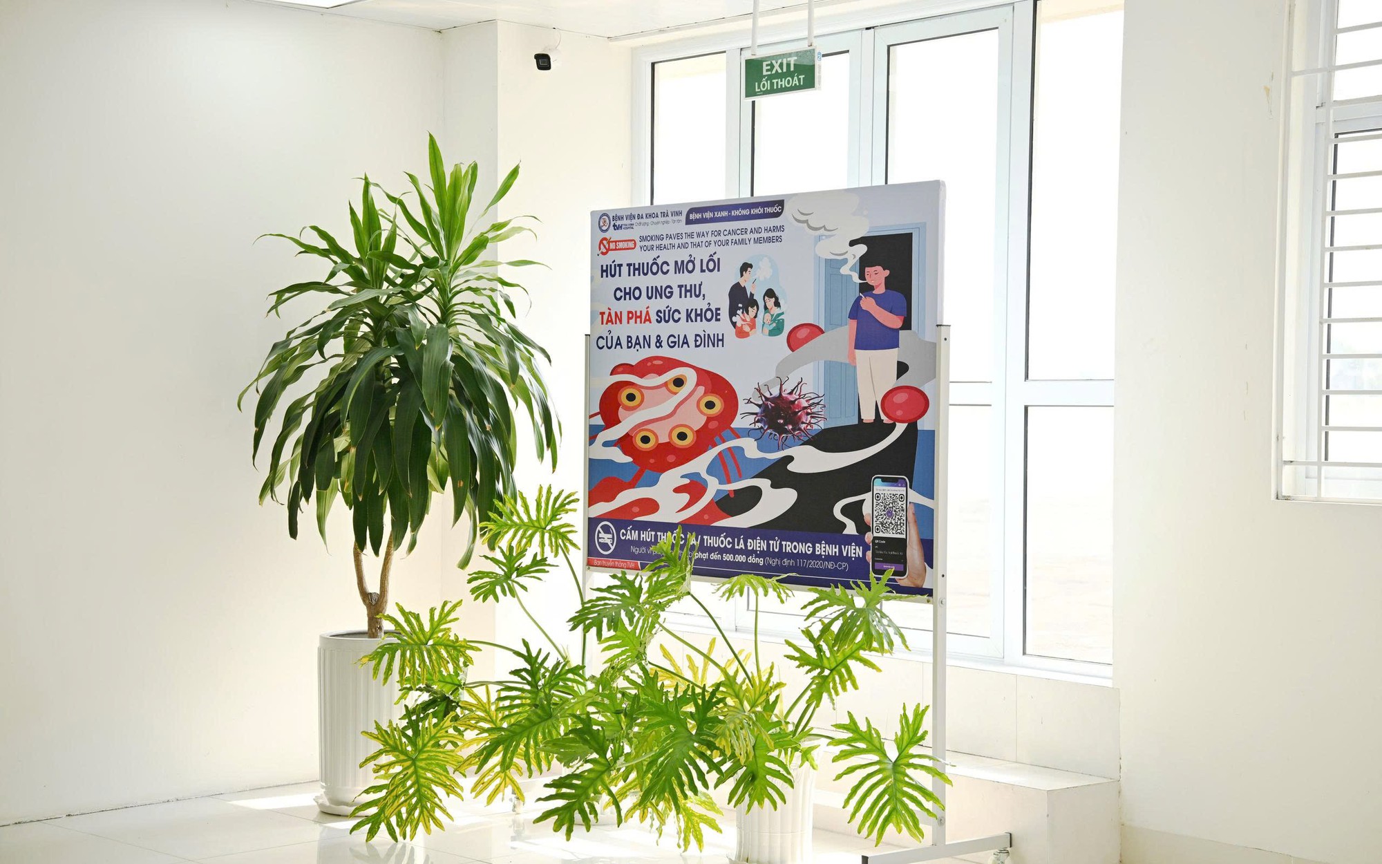 Hỗ Trợ Cai Nghiện Thuốc Lá: Hơn 275.000 Bệnh Nhân Được Giúp Đỡ