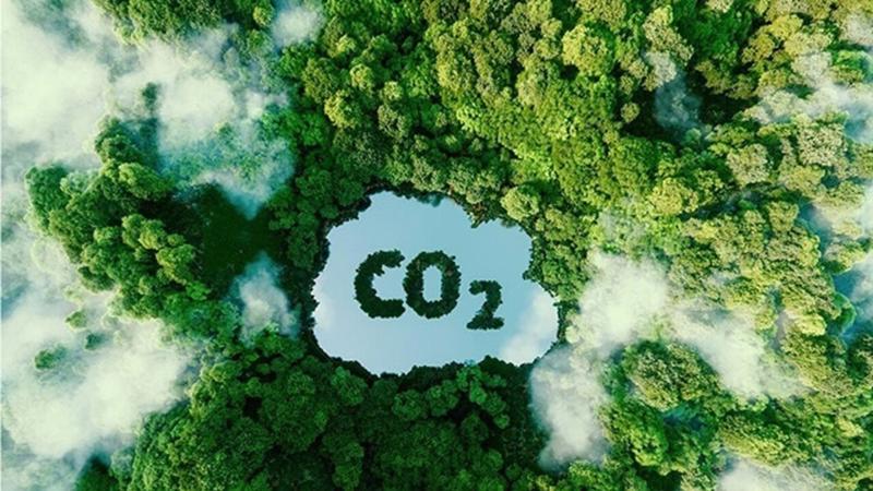 Doanh Nghiệp Việt Nam: Lựa Chọn Giảm Khí Thải và Thị Trường Tín Chỉ Carbon