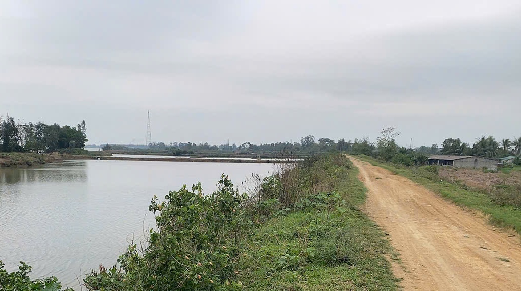Thanh Hóa Ra Soát và Bảo Vệ Các Vị Trí Đê Điều Quan Trọng - Ảnh 3.