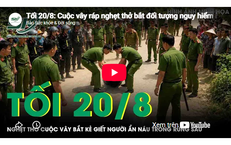 Tranh Chấp Tài Sản: Vụ Kiện Anh Em Sau Khi Mẹ Qua Đời
