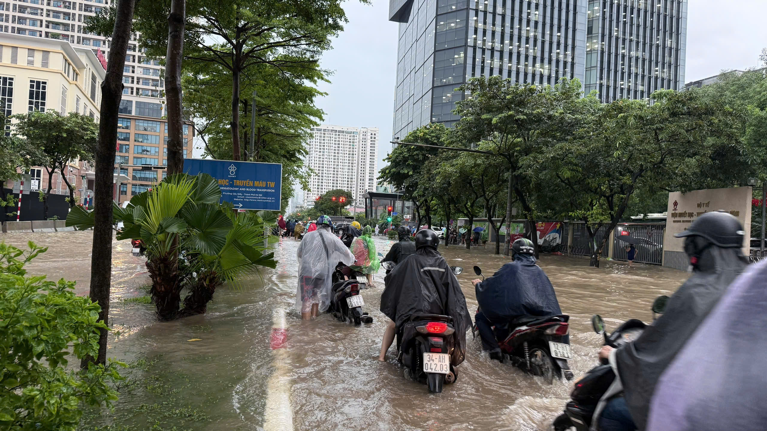 Mưa tại miền Bắc Dự báo thời tiết miền Bắc