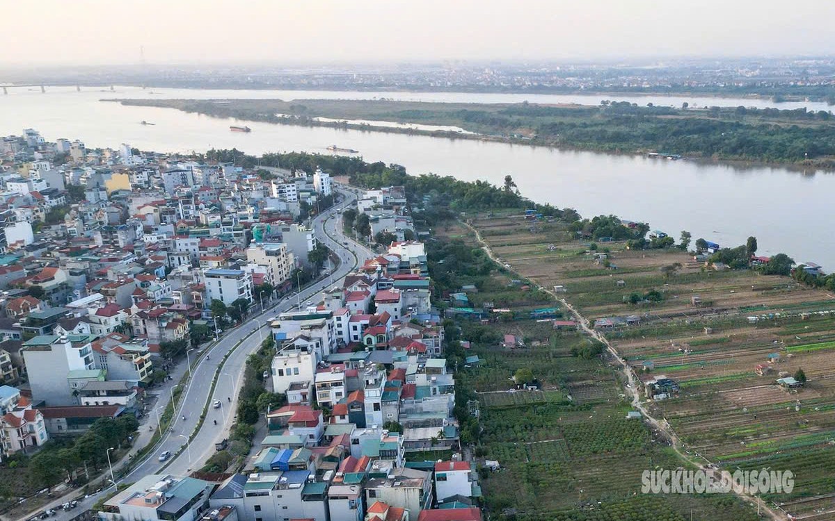 Hà Nội: Ngành y tế, giáo dục thực hiện mục tiêu 'kép', góp đạt GRDP từ 11%- Ảnh 6.