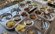 5 công thức từ lá đinh lăng giúp an thần, giảm đau đầu và hỗ trợ giấc ngủ