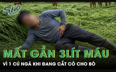 6 giờ quyết định: góc nhìn bác sĩ và bài học cấp cứu khẩn cấp từ vụ án ở Đồng Nai