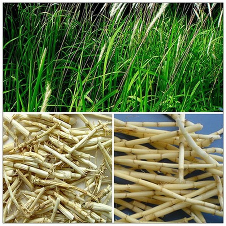 Sai lầm thường gặp khi điều trị bệnh tiết niệu- Ảnh 1.